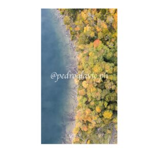 Otoño en Tierra del Fuego