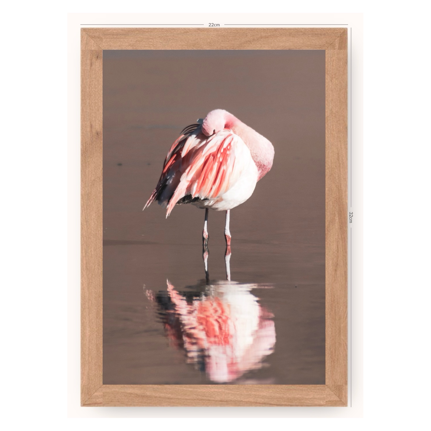 Cuadro Flamenco Chileno (sin paspartú)