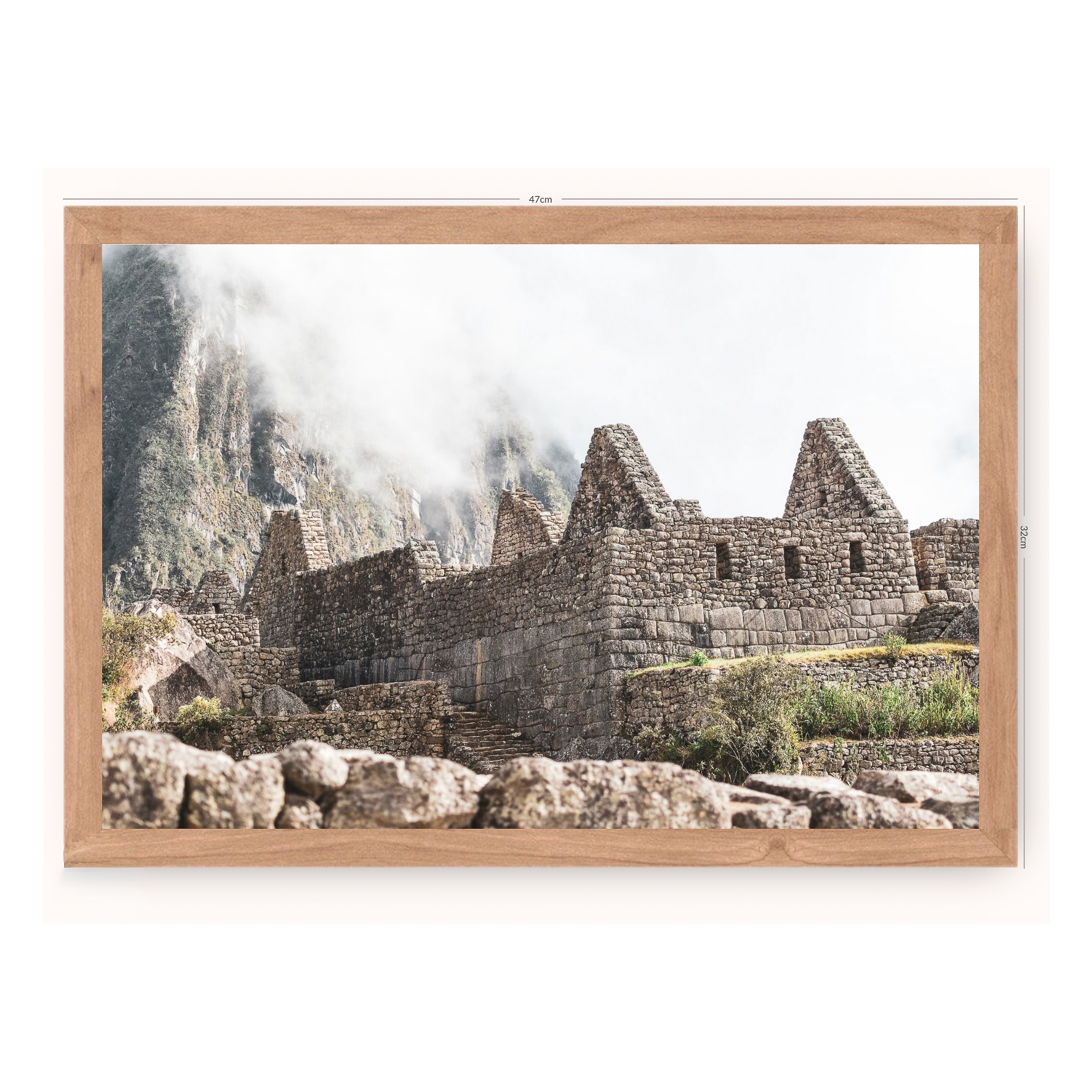 La historia se aprende en un viaje - Edición especial