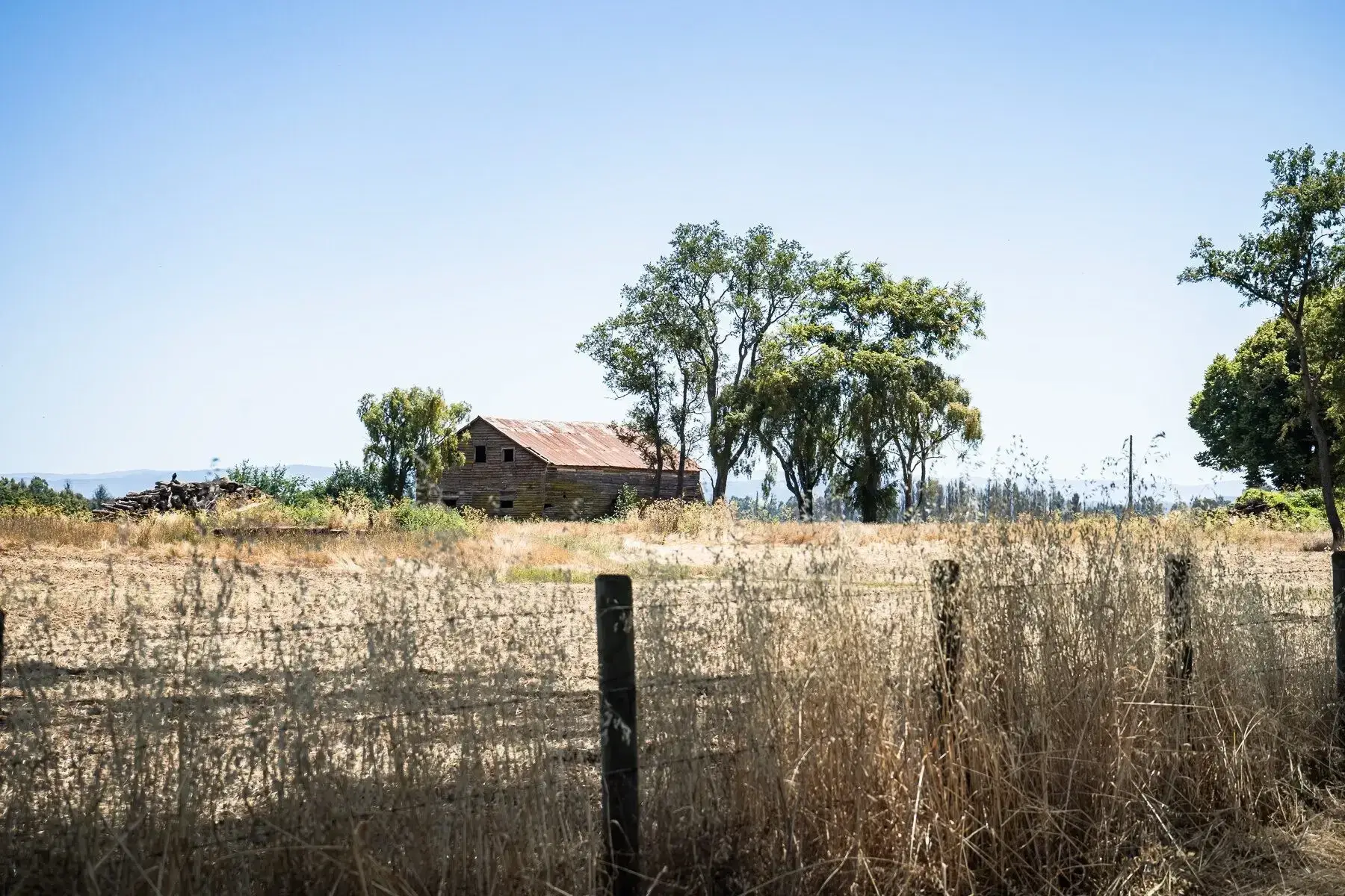 Casa rural y árboles junto al camino