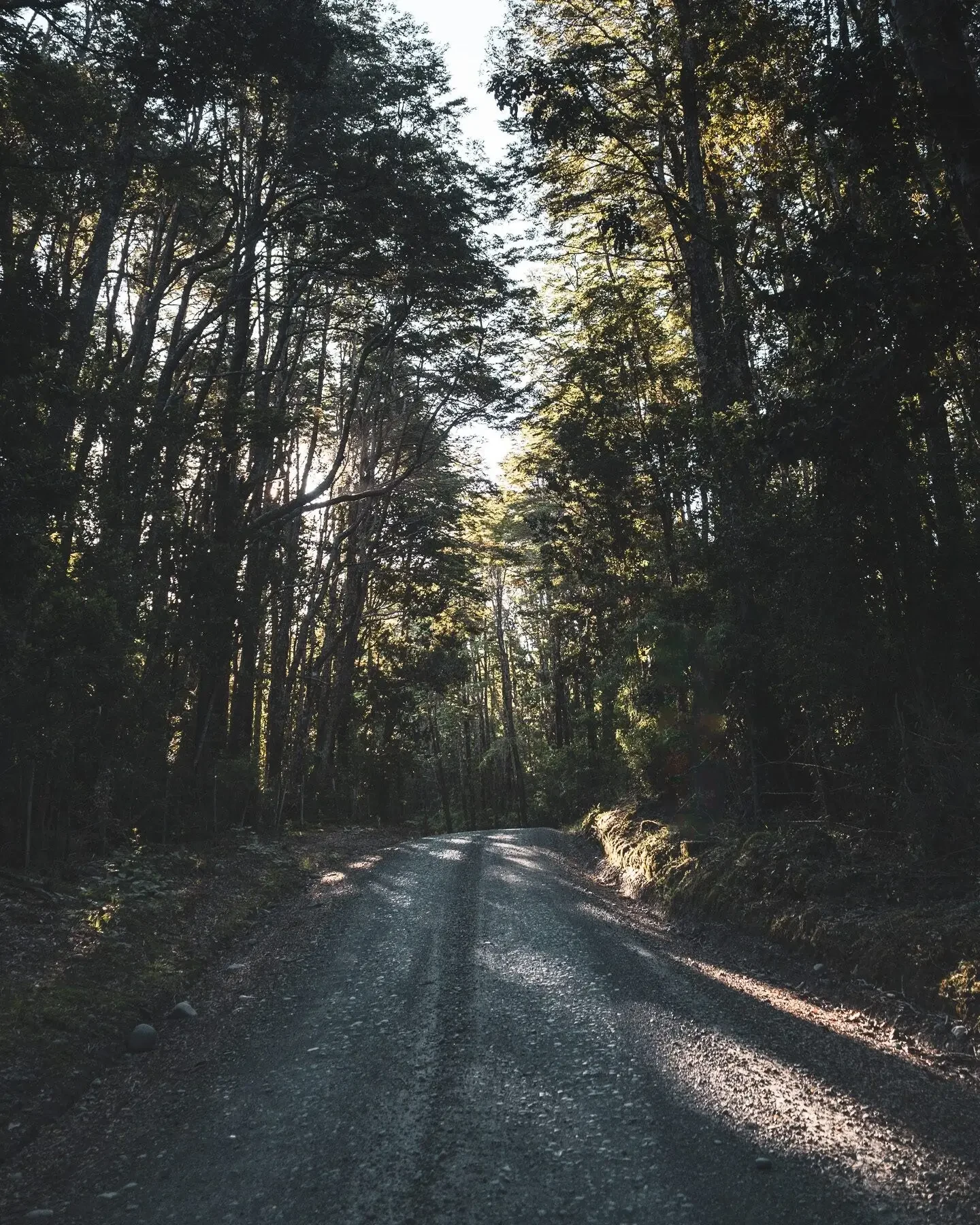 Fotografía del recorrido por la Cordillera de la Costa