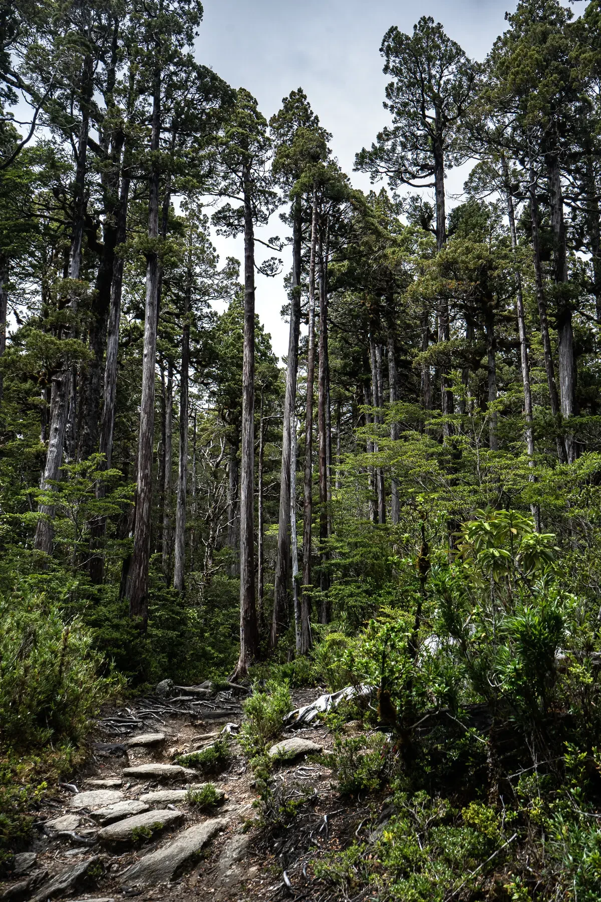 Fotografía del recorrido por la Cordillera de la Costa